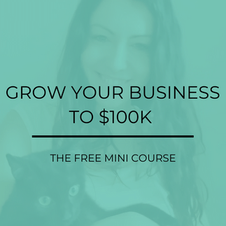 Grow your business to $100K - The Free Mini Course