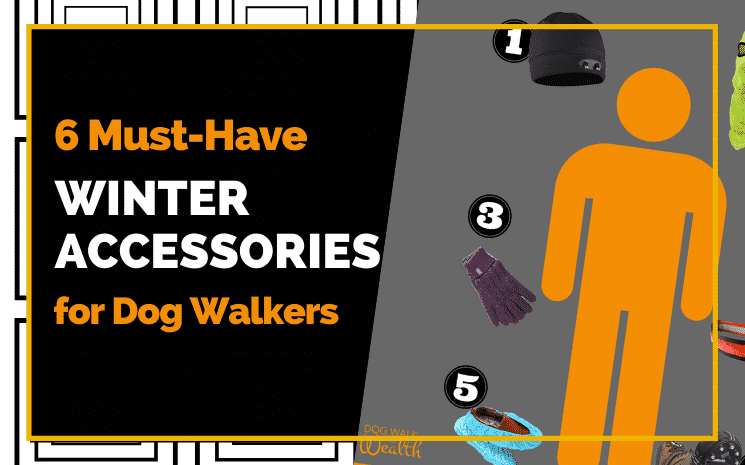 Winter Accessories For Dog Walkers 